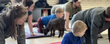 Family Goat Yoga at Ivy Rose Creative