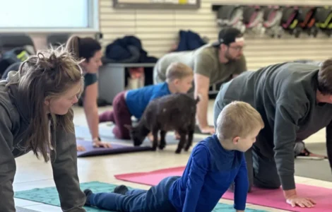 Family Goat Yoga at Ivy Rose Creative