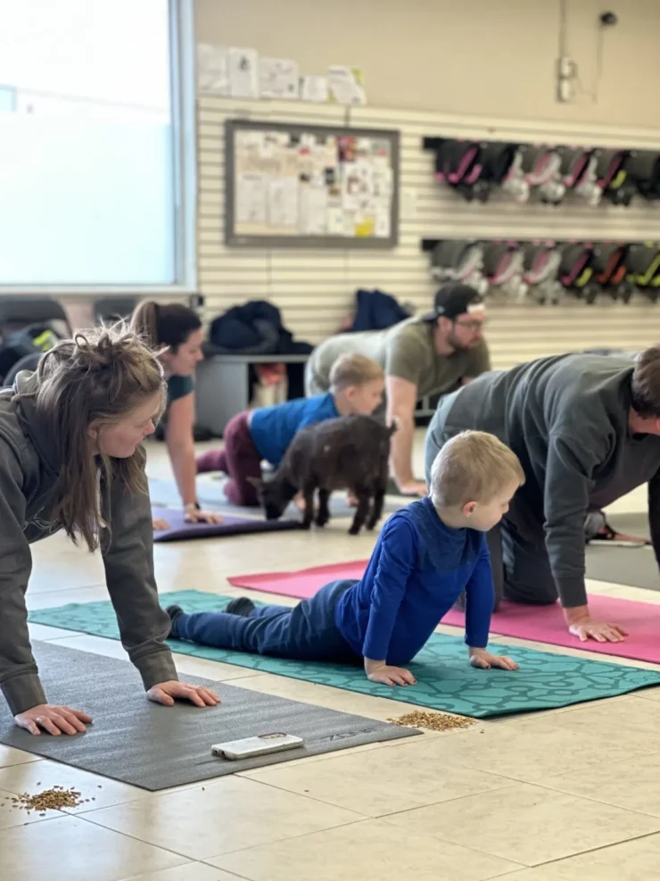 Family Goat Yoga at Ivy Rose Creative