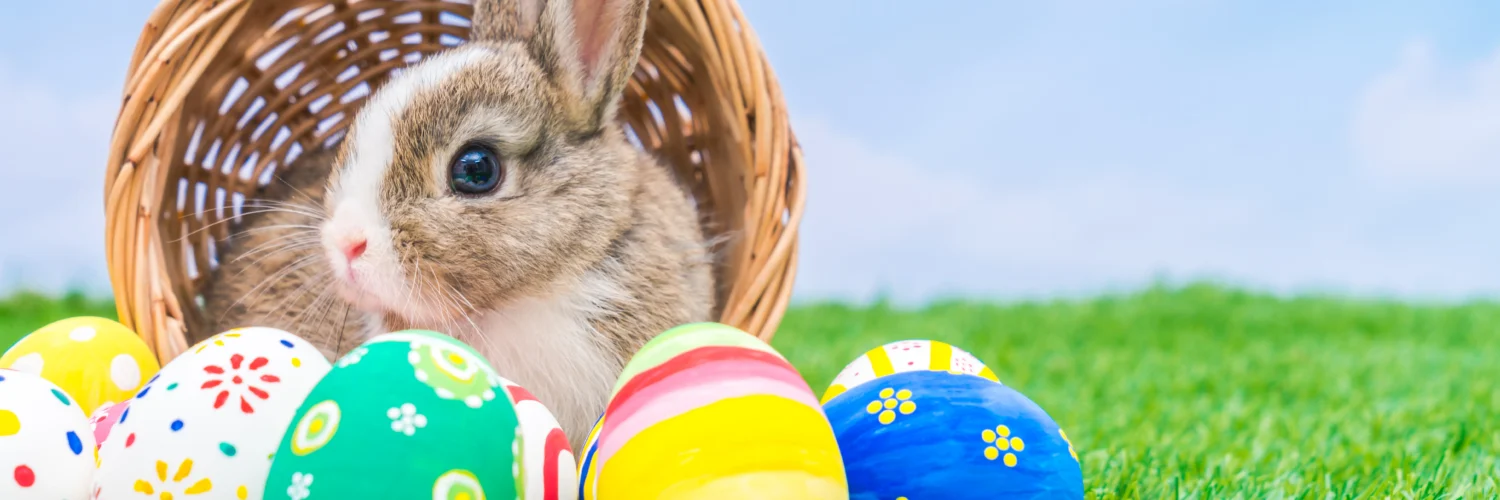 Easter Vendors Market