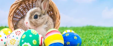 Easter Vendors Market