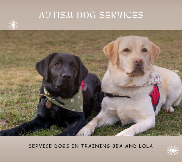 Autism Dog Services