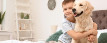 Autism Dog Services