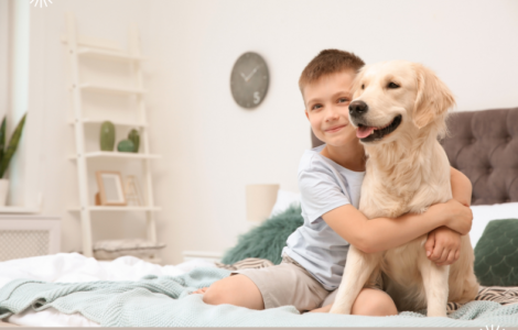 Autism Dog Services